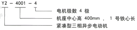 YR系列(H355-1000)高压YR5602-12/315KW三相异步电机西安西玛电机型号说明